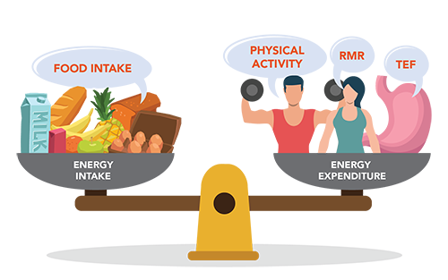 Active Health Energy Balance